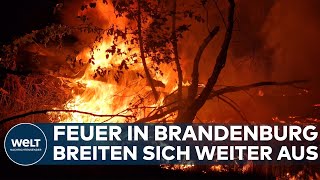 WALDBRAND IN JÜTERBOG Gefährliche Munitionsbelastung hindert Einsatzkräfte am Löschen der Feuer [upl. by Crispa]