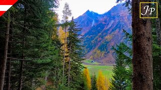 Alpine Forest Walk  Tyrol Austria [upl. by Doone]