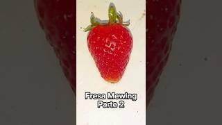 Fresa Hace Mewing Parte 2 🍓 fresa mewing humor berville [upl. by Ajat]