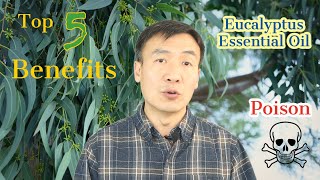 Eucalyptus Uses Top 5 Benefits of Eucalyptus Essential Oil Side Effects of Eucalyptus Oil [upl. by At]