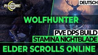 ESO  Stamina Nachtklinge PVE DPS Build Update für Wolfhunter Deutsch [upl. by Sherilyn]