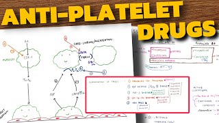 AntiPlatelet Drugs Pharmacology  COX Inhibitors  P2Y12 Receptor Blockers  Aspirin  Clopidogrel [upl. by Grethel]