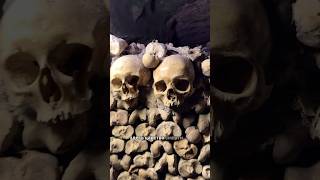 paris catacombs facts scary scarystories [upl. by Yonatan]