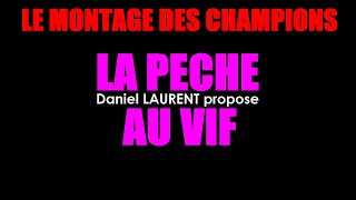 Pêche facile du brochet en étang au vif calé [upl. by Aip]