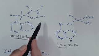 Kinetin and Cytokinin Plant Physiology [upl. by Atibat140]