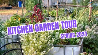 Kitchen Veggie Garden Tour Scenic Rim QLD Spring 2024 [upl. by Nnylav]