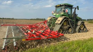 FARM UPDATE 256 Guttler cultivator on demo finish beet drilling preparing soil for Capulet beans [upl. by Margarida]