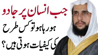 Jab Insaan Per Jadu ho raha Tab Kesi Tera ki Kafiyat Hoti  Qari Abdul Basit Salfi [upl. by Tippets]