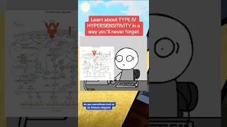 Learn about Type IV Hypersensitivity [upl. by Serolod]