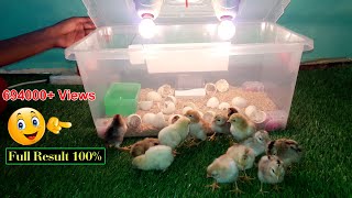 BEST INCUBATOR FOR CHICKEN EGGS WITH 100 EFFICIENCY  DIY HOMEMADE CHICKEN INCUBATOR  YOUCANDOTHIS [upl. by Rickard]