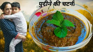 पुदीने की स्वादिष्ट और हेल्दी चटनी l Mint chutney l Green chatni l Burans flower chutney l chatni [upl. by Lannie]