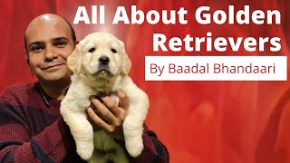 All About Golden Retriever  Pros amp Cons Of Family Dog Breed  Benefits Of Puppy  Baadal Bhandaari [upl. by Dolley902]