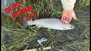 Buzz Bomb Life  River fishing trip opening day in Alberta [upl. by Stromberg]