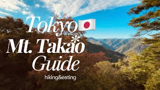 A day of hiking MtTakao⛰️Tokyo Mountain 🇯🇵Day trip🗾🍡🍵 [upl. by Fabi]