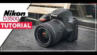 Nikon D3500 Tutorial For Beginners  How To Setup Your New DSLR [upl. by Ajani660]