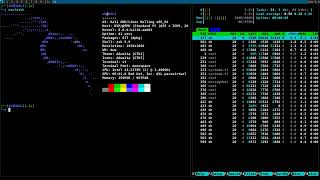 Kali Linux and DWMST A Minimalistic and Customizable Setup Demonstration dwm kalilinux [upl. by Coridon]