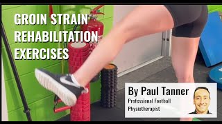 Groin Strain Strengthening Exercises [upl. by Annoved644]