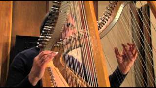 Harpist Jacques Vandevelde quot Melodia Nueva quot [upl. by Elke]