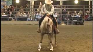 Mr Boomerjac Gordyville 2006 USEF Qualifier Open Champion [upl. by Atnauqahs]