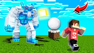 Found YETI MONSTER In Minecraft [upl. by Kcireddor919]