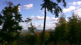 Unterwegs im Harz Von Ilsenburg zum Froschfelsen wandern und die Vielfalt der Natur entdecken [upl. by Leis]