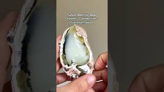 Discover the Magic of Turkish Dendritic Opal Embrace Growth Connection and Transformation [upl. by Vod]