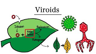 What are Viroids  MCAT Biology [upl. by Merchant]