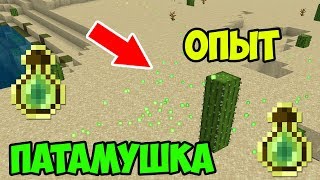 ПАТАМУШКА МЭВЛ ИЗ ЗВУКА ОПЫТА  MINECRAFT МУЗЫКА [upl. by Elockcin]