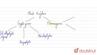 Cryptogamic plants are [upl. by Sayette]