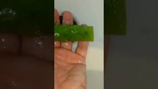 Squizee Rilassante ASMR Sponge I spongeasmrsquizeerelaxrelaxingsoundacquasatisfyingvirales [upl. by Naujled]