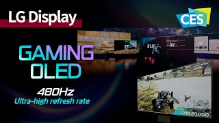 CES 2024 OLED’s first 480Hz ultrahigh refresh rate Highend gaming display  LG Display [upl. by Annahsor78]