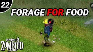 FORAGING IS TOO GOOD ALSO GOT A BBQ  EP 22 Project Zomboid 100 DAY beginner challenge [upl. by Griffy]