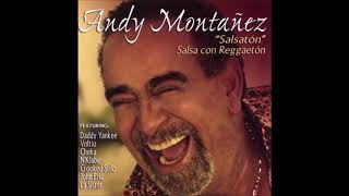 Andy Montañez Ft Julio VoltioEn Mi Puertorro 3 [upl. by Oringas]