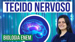 OS NEURÔNIOS E O TECIDO NERVOSO Características e funções nos humanos Claudia Aguiar Curso Enem [upl. by Naegem941]