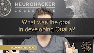 What was the goal in developing Qualia [upl. by Lyris]