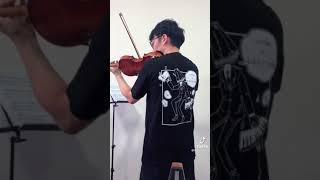 TwoSetViolin  Your Tiktok vs My Tiktok [upl. by Einegue]