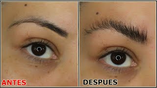 COMO PLANCHARSE LAS CEJAS EN CASA  PLANCHADO DE CEJAS PASO A PASO  LAMINADO DE CEJAS EN CASA [upl. by Elocim]