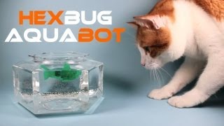 HexBug Aquabot Smart Fish Technology Review [upl. by Nnylf]