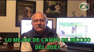 Lo más visto del 2021 en Campo de México [upl. by Ecinaj]