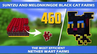 Best AFK Farm for Nether WartWheatPotatoCarrotMushroom  Hypixel Skyblock Farm  Full Tutorial [upl. by Alad]