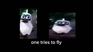 Bird screaming meme [upl. by Ingar]