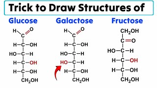 Easiest Trick to draw structures of Glucose Galactose and Fructose  J Biology [upl. by Htaeh881]