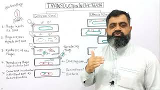 Transduction in Bacteria UrduHindi medium profmasoodfuzailtransduction [upl. by Knoll196]