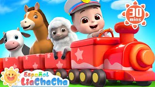 Animales en el Chu Chu Tren  Sonidos de Animales  LiaChaCha en Español  Canciones Infantiles [upl. by Missak408]