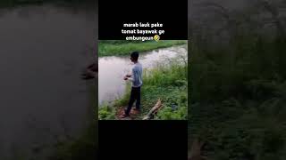 Ngasih Pakan Ikan Pakai Tomat😄hiburan hiburansunda brammurkadiarychannel [upl. by Ecnedac547]