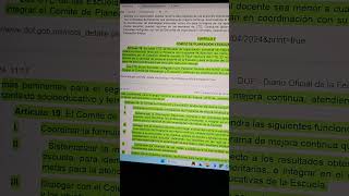 Resumen Lineamientos CTE 2024 ACUERDO 050424 Funciones Comité Planeación y Evaluación Sexta sesión [upl. by Baruch]