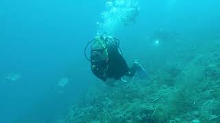 SS Yongala wreck dive  Egy fantasztikus hajóroncs merülés [upl. by Ykroc]