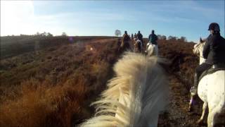 Cannock Chase Trekking Centre 18 November 2012 GoPro HD 1080p [upl. by Libyc]