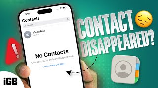 iPhone Contacts Disappeared 9 Ways to Get Them Back iOS 17 [upl. by Terrance]