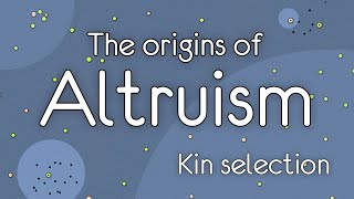 The Origins of Altruism Kin selection [upl. by Su]